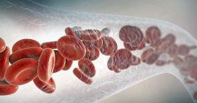 image87-1024x576 image87-1024x576