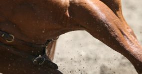 Acceleration-of-recovery-683x1024 Acceleration-of-recovery-683x1024