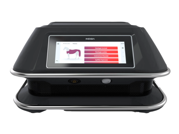 INDIBA_Animal-Health_Equus_web_ccexpress-1024x622 INDIBA_Animal-Health_Equus_web_ccexpress-1024x622