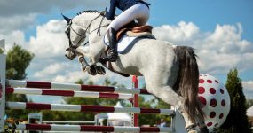 Injury-prevention-and-performance-improvement Injury-prevention-and-performance-improvement