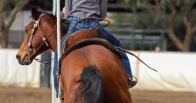 Joint-and-muscle-pain-management-683x1024 Joint-and-muscle-pain-management-683x1024