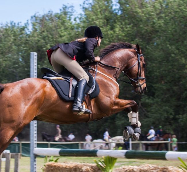 pexels-jean-van-der-meulen-1559388-1024x683 pexels-jean-van-der-meulen-1559388-1024x683