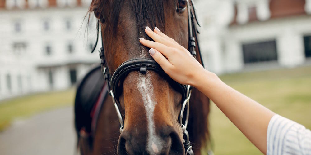 Beautiful woman standing with a horse