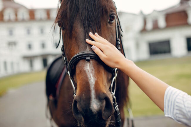 Beautiful woman standing with a horse